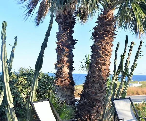 Дом отдыха Aloe Mare